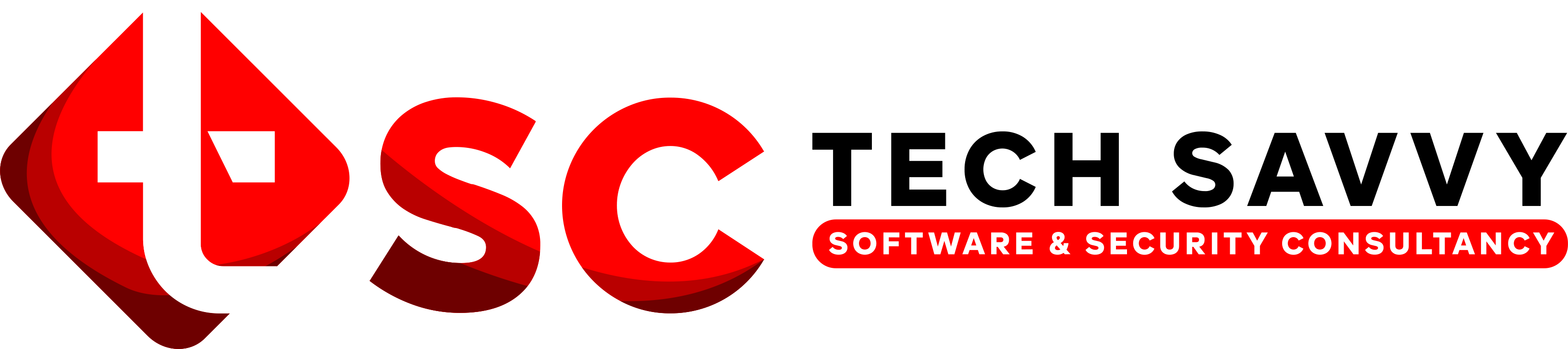 Tech Savvy Software & Security Consultancy Private Limited